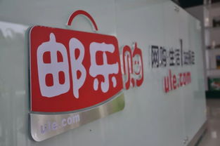 資陽丹山加工廠 讓特色農(nóng)產(chǎn)品乘“電商”快車，香飄萬里